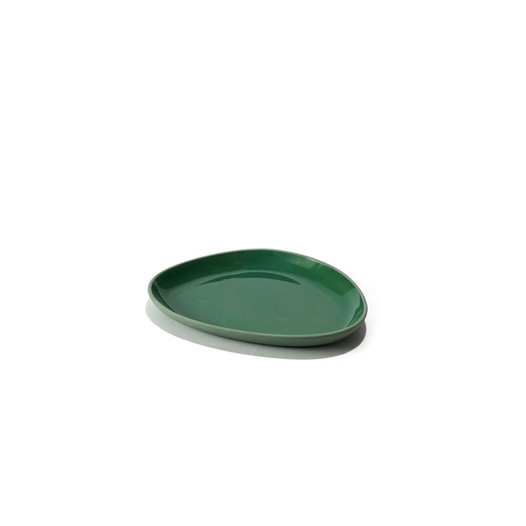 PLATE XS